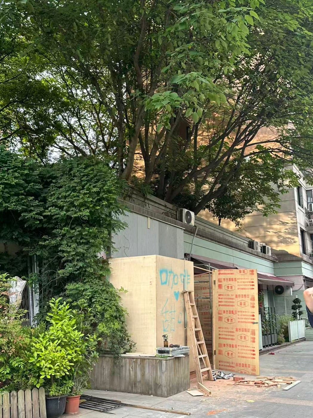 街边用木板围起来的门面,旁边一架梯子和大树
