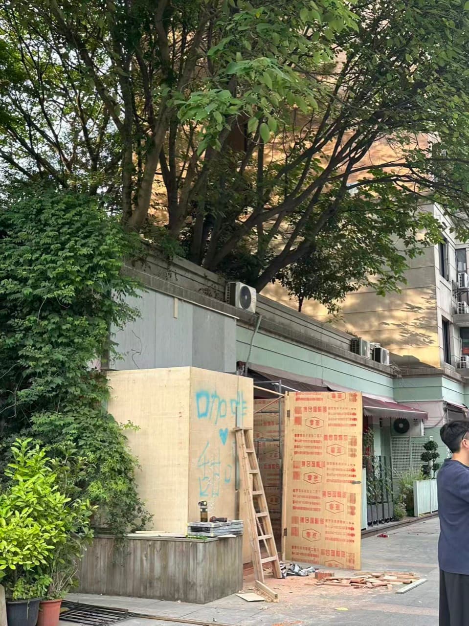 门面用木板围起来,门口一架梯子,旁边是绿植